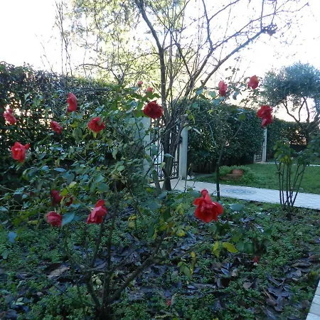 Venezia Le Tre Rose לינה וארוחת בוקר מסטרה